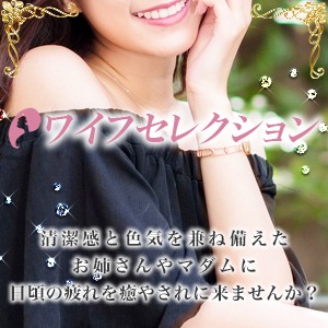 ワイフセレクションの画像
