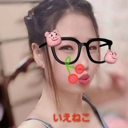 いえねこの画像