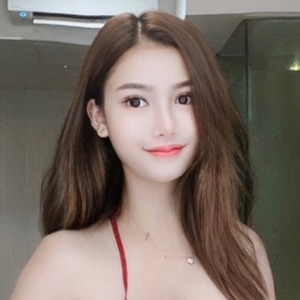 花水木（ハナミツギ）の画像