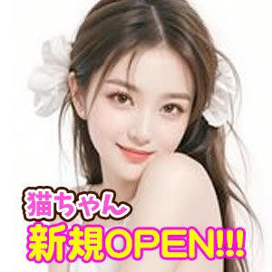 猫ちゃんの画像