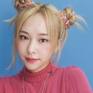 ペントハウスの画像