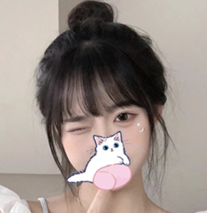 オアシスの画像