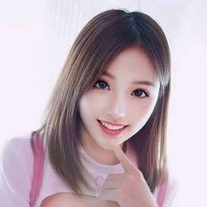 蜜蜂（ミツバチ）の画像