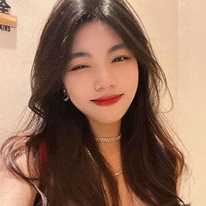 コスモスの画像