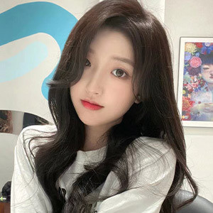 可愛い猫の画像