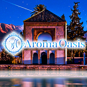 Aroma Oasis 自由が丘ルームの画像