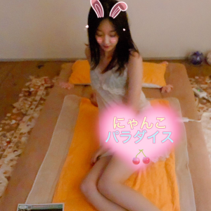 にゃんこパラダイスの画像