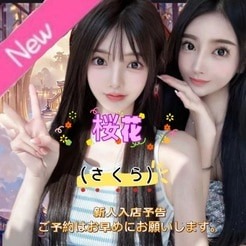 桜花（さくら）の画像