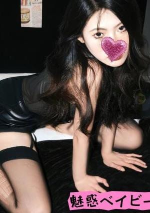 らんちゃんの画像