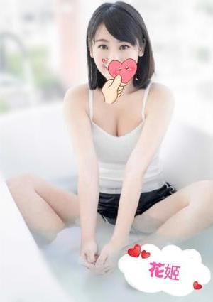 さくら ちゃんの画像