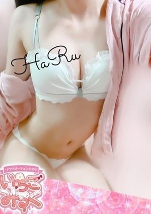 Ｓクラス候補☆はるの画像