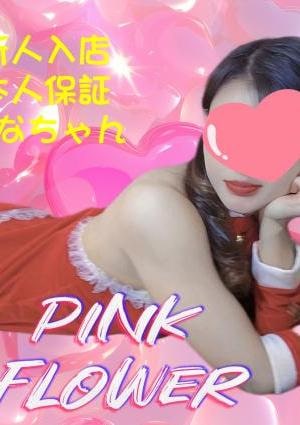 ななちゃんの画像