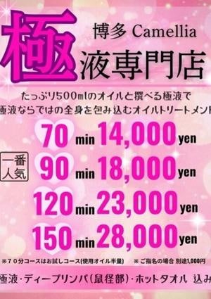 Camellia -カメリア-の画像