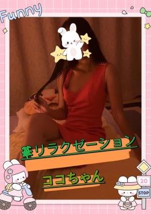 ココちゃんの画像