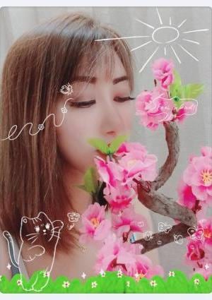 なるみちゃんの画像