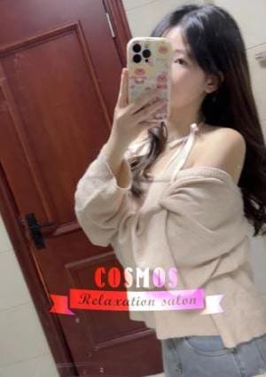 マイヤーの画像