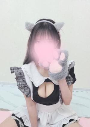 れいにゃんの画像