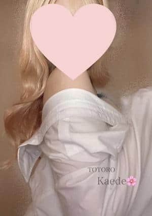 楓～かえで～の画像