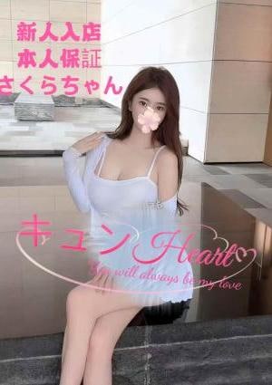 さくらちゃんの画像