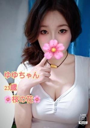 ゆゆちゃんの画像