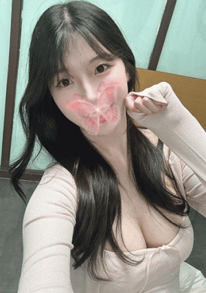 菊ちゃんの画像