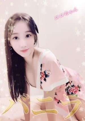 ココちゃんの画像