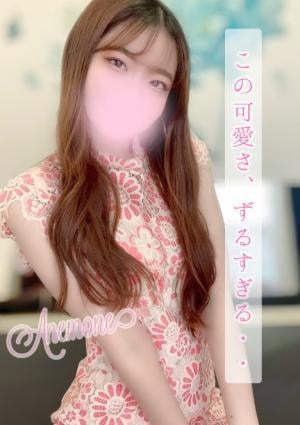 あねもね　新人割引対象の画像