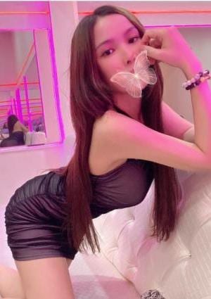 ミミちゃんの画像