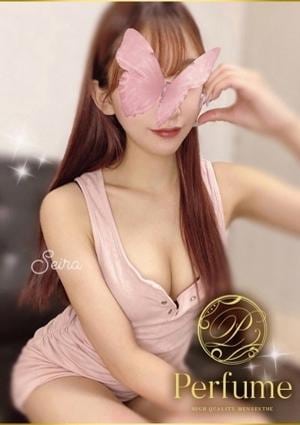 美坂せいらの画像