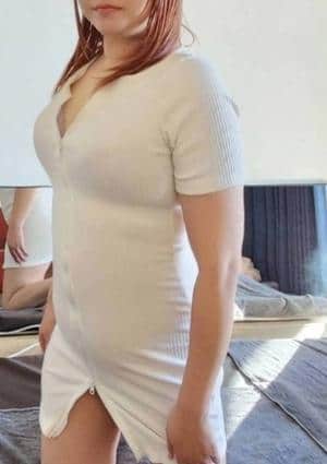 水木 / ミズキの画像