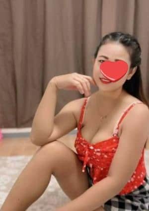 ここちゃんの画像