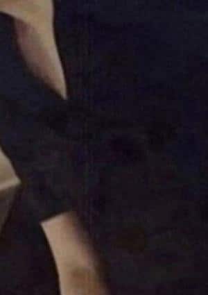 真田アゲハの画像