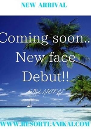 木下 なぎさの画像