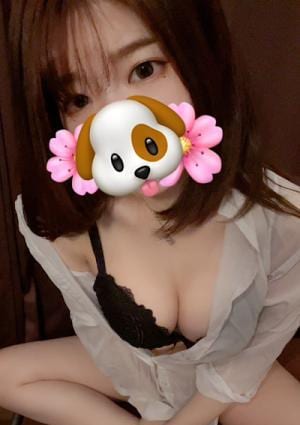 犬持ほまれの画像