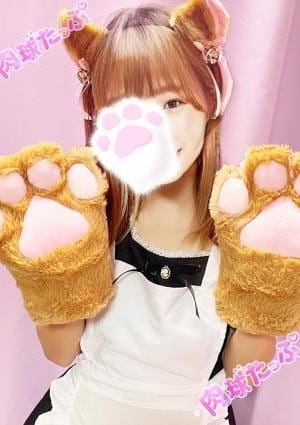 むぎにゃんの画像