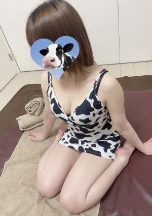 シソロースゆめの画像