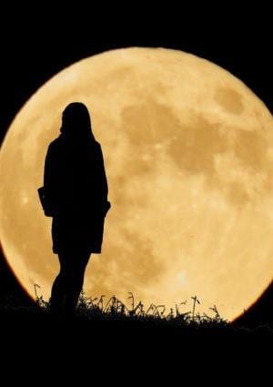 シークレットの画像