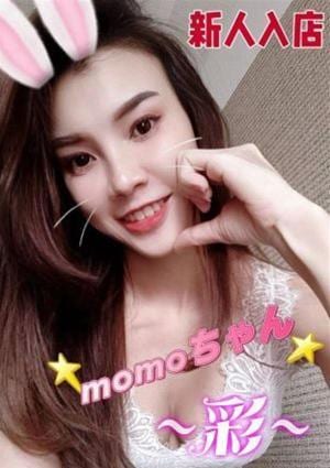 momoの画像