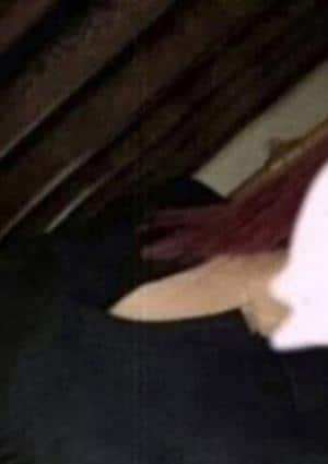 伊集院のんの画像