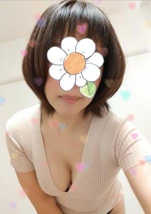 木内あきの画像