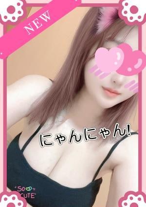 サニちゃんの画像