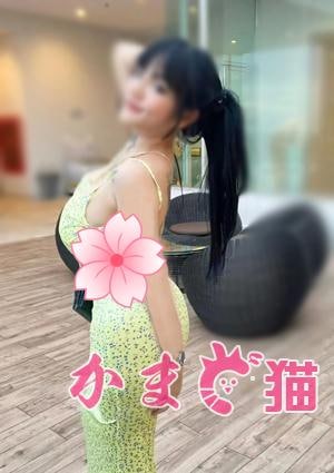 Yoyoちゃんの画像