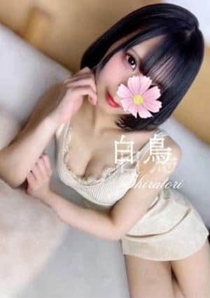 白鳥★スタッフおすすめ♡の画像