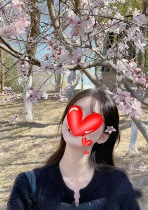 ココちゃんの画像