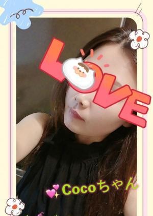 Cocoちゃんの画像