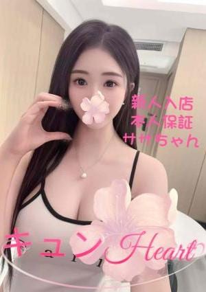 ササちゃんの画像