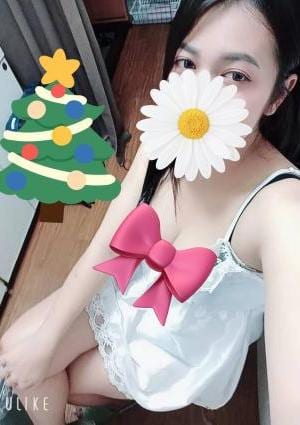 なみちゃんの画像