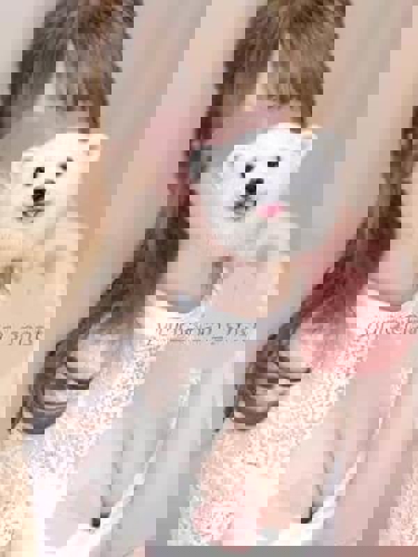 夕月ゆのの画像