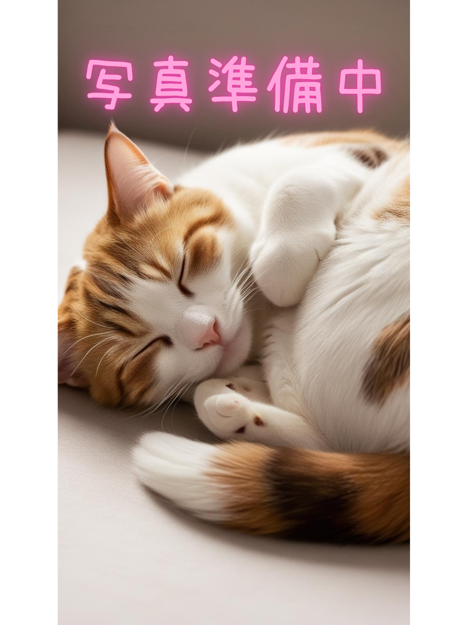 白川 ひなの画像