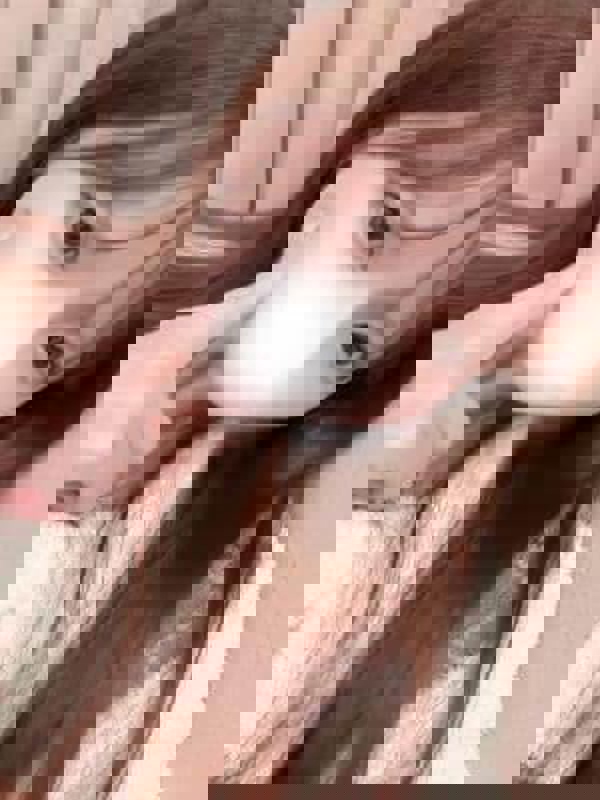 吉川きらりの画像